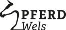 Bildergebnis für pferd wels